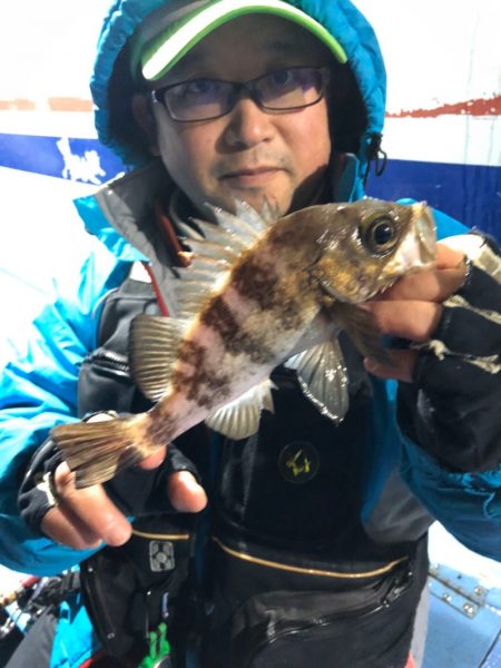 ヤザワ渡船 釣果