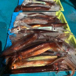 愛海丸 釣果