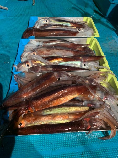 愛海丸 釣果