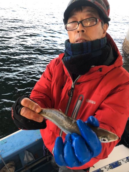 ヤザワ渡船 釣果