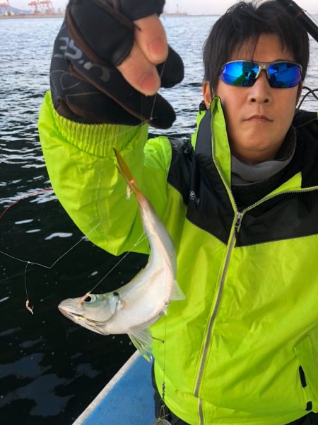 ヤザワ渡船 釣果