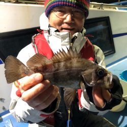 ヤザワ渡船 釣果