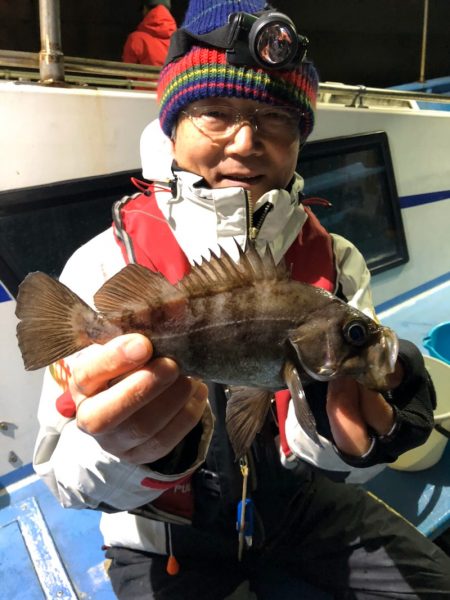 ヤザワ渡船 釣果