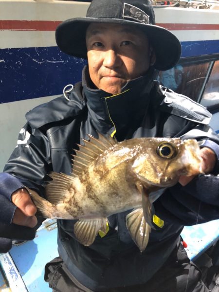 ヤザワ渡船 釣果