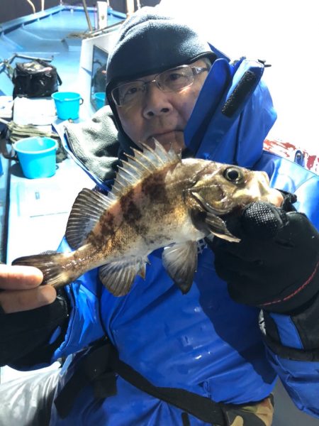 ヤザワ渡船 釣果