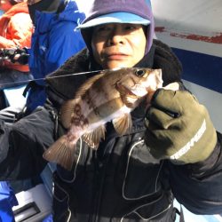 ヤザワ渡船 釣果