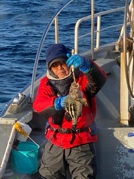 シーランチ 釣果