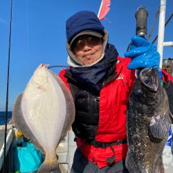 シーランチ 釣果