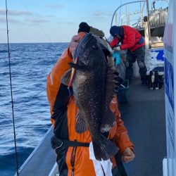 シーランチ 釣果