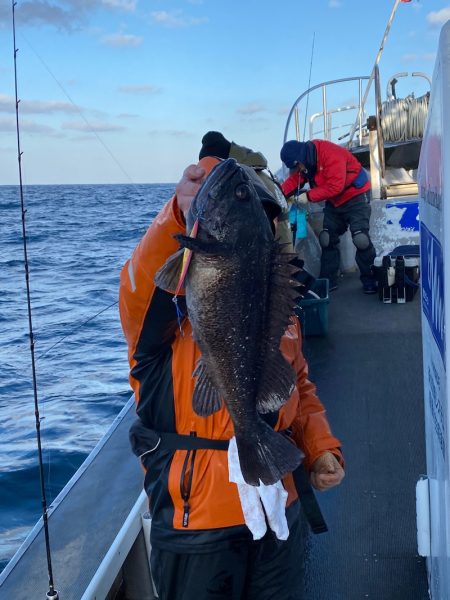 シーランチ 釣果