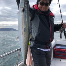 ビッグファイター 釣果