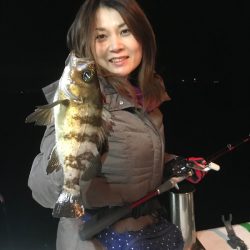 釣人家 釣果