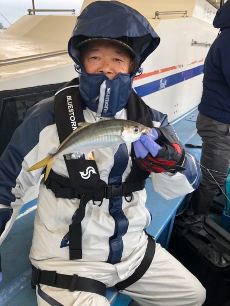 ヤザワ渡船 釣果