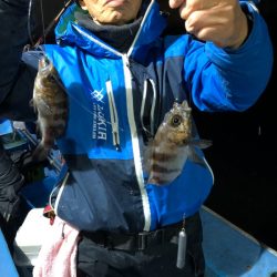 ヤザワ渡船 釣果