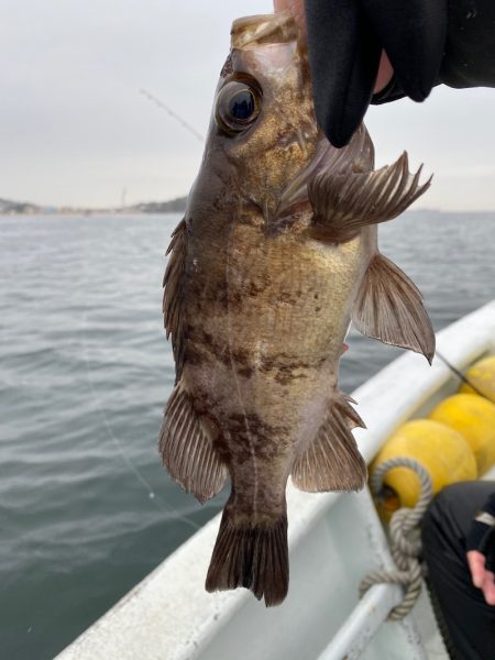 美宝丸 釣果
