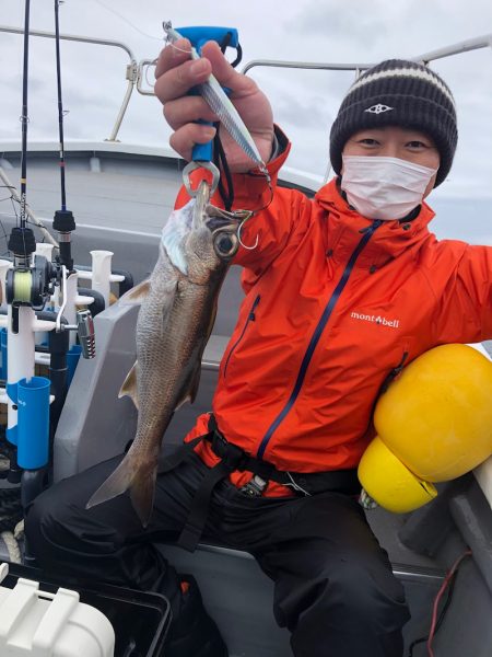 ＴＡＲＯＭＡＲＵ 釣果