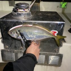 Monster Rush! 釣果