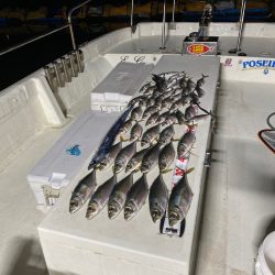 Monster Rush! 釣果