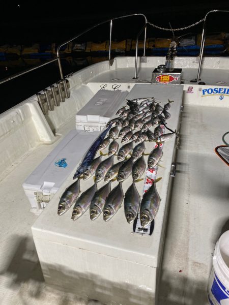 Monster Rush! 釣果