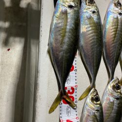 Monster Rush! 釣果