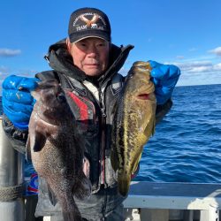 シーランチ 釣果