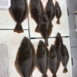 遊漁船メテオ 釣果