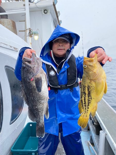 シーランチ 釣果