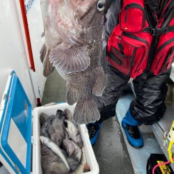 シーランチ 釣果