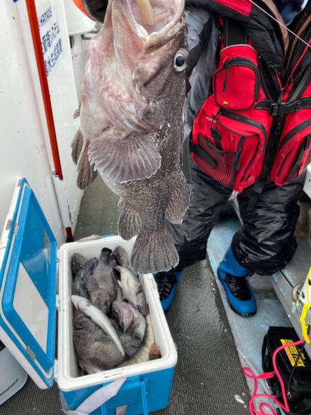 シーランチ 釣果