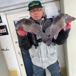 シーランチ 釣果