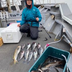シーランチ 釣果