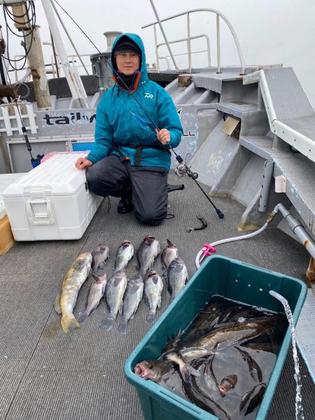 シーランチ 釣果
