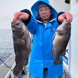 シーランチ 釣果