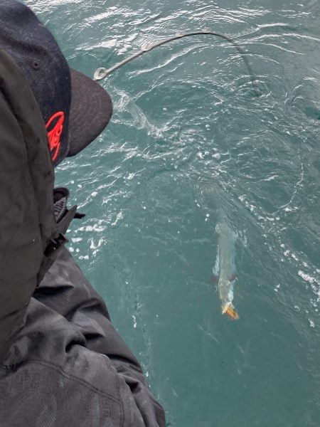 あみや渡船 JIGBOY 釣果