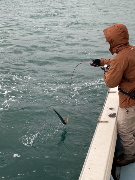 あみや渡船 JIGBOY 釣果