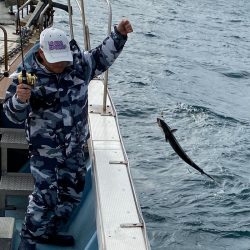 あみや渡船 JIGBOY 釣果