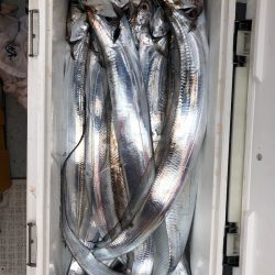 フィッシング キッタカ 釣果