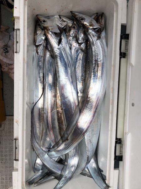 フィッシング キッタカ 釣果