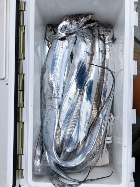 フィッシング キッタカ 釣果