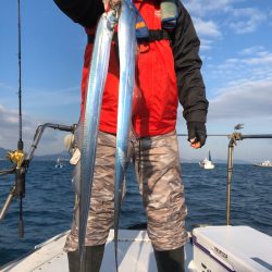 フィッシング キッタカ 釣果