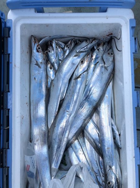 フィッシング キッタカ 釣果