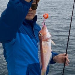 あみや渡船 JIGBOY 釣果