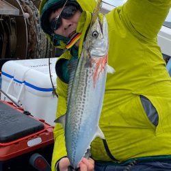 あみや渡船 JIGBOY 釣果