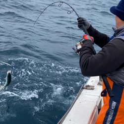 あみや渡船 JIGBOY 釣果