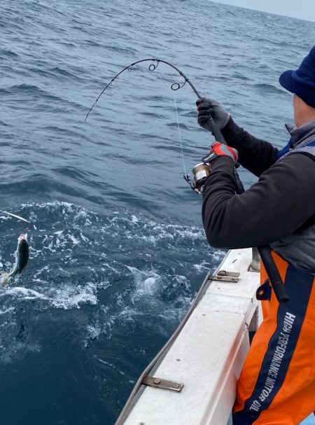 あみや渡船 JIGBOY 釣果