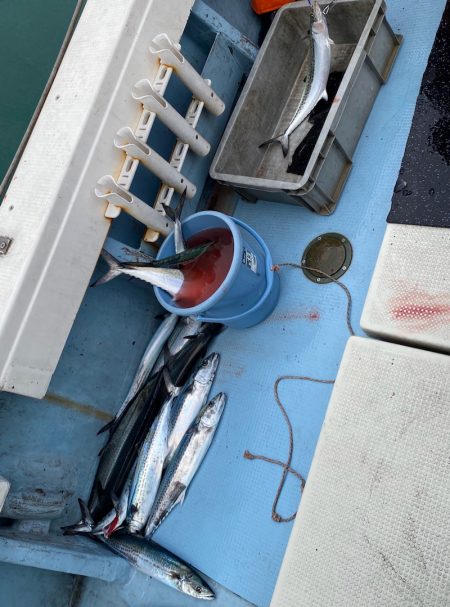 あみや渡船 JIGBOY 釣果