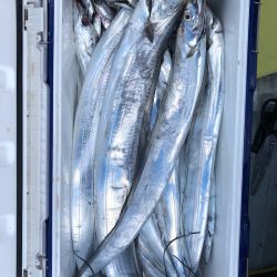 フィッシング キッタカ 釣果