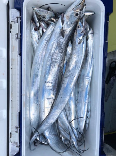 フィッシング キッタカ 釣果