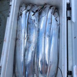 フィッシング キッタカ 釣果