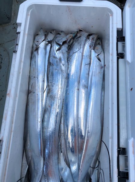 フィッシング キッタカ 釣果